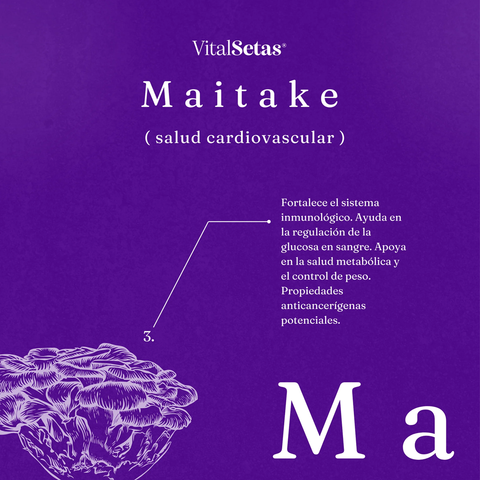 Cápsulas de Maitake