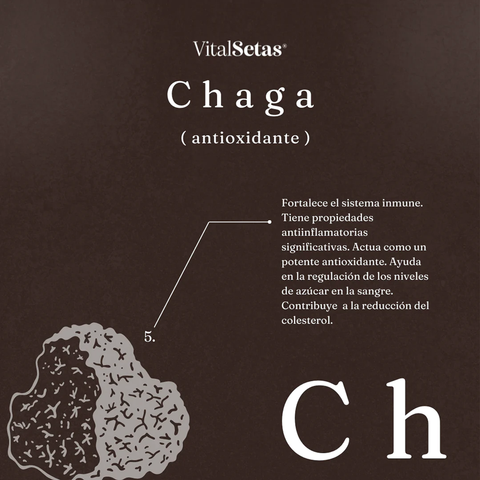 Cápsulas de Chaga