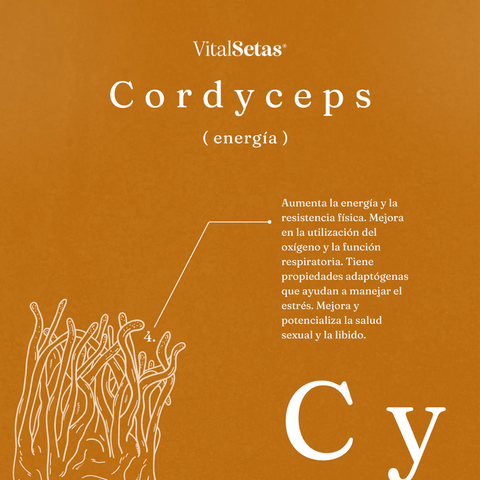 Cápsulas de Cordyceps