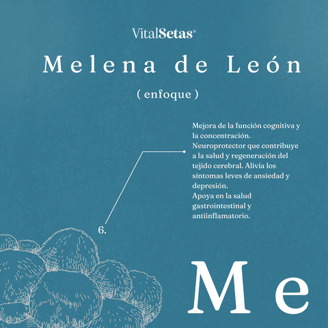 Cápsulas de Melena de León