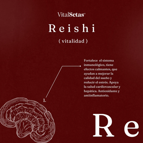 Cápsulas de Reishi