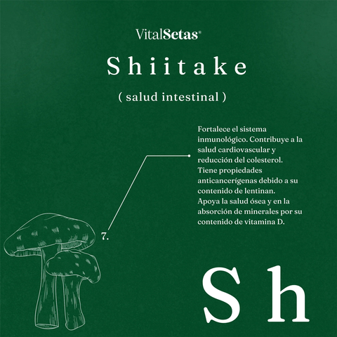 Cápsulas de Shiitake