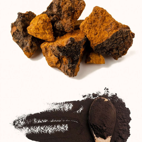 Chaga en Polvo