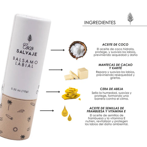 Bálsamo de Labios