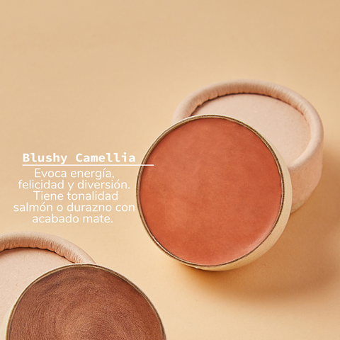 Maquillaje Cremoso 3 en 1