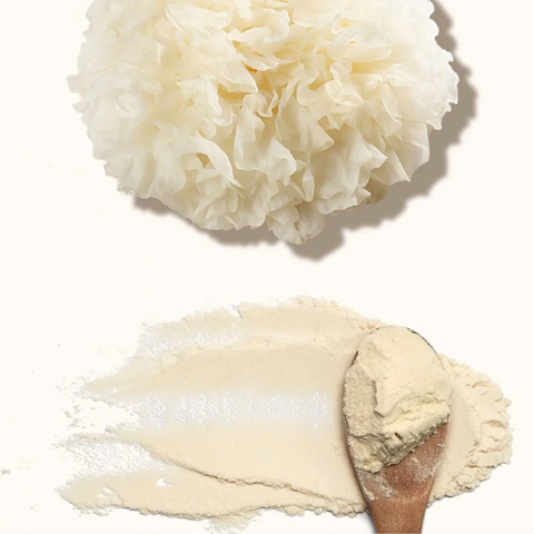 Tremella en Polvo