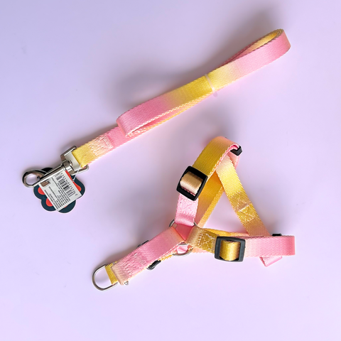 Arnés + Correa Rosa con Amarillo para Mascotas