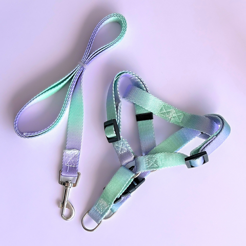 Arnés + Correa Azul con Morado para Mascotas Mediano