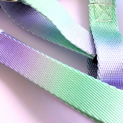 Arnés + Correa Azul con Morado para Mascotas Mediano