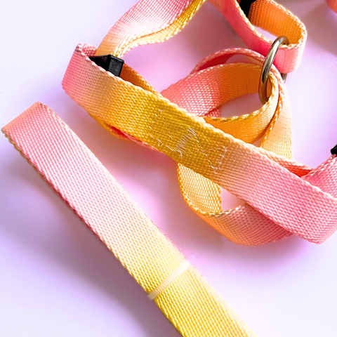 Arnés + Correa Rosa con Amarillo para Mascotas