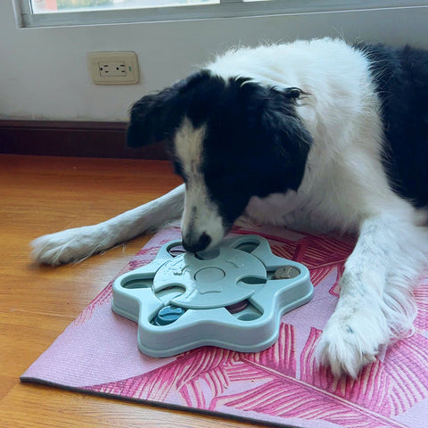Juguete Interactivo Dispensador para Perros