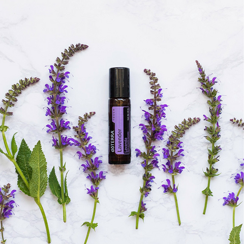 Aceite Esencial Lavanda Touch 10 ml