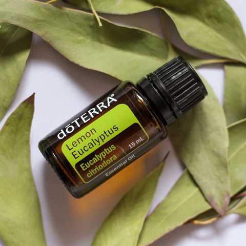 Aceite Esencial de Eucalipto Limón 15ml