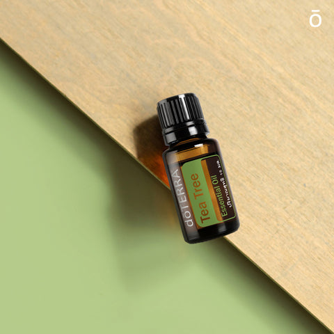 Aceite Esencial de Tea Tree (Árbol de Té)